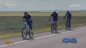 中华职棒球队球迷基础持续壮大